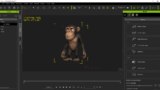 Monke-Chimp 3D iclone model
