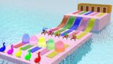 Slide Game With Duck 3d Animal 3d Animals project file iclone 7 and iclone 8