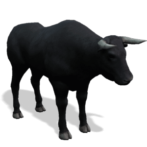 iclone 7 or iclone 8 Bull iProp Model With All Motion