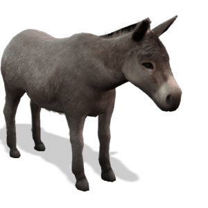 iclone 7 or iclone 8 Donkey iProp Model With All Motion